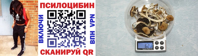 МЕГА ONION  Новоуральск  shop формула  сколько стоит  Галлюциногенные грибы Psilocybe 